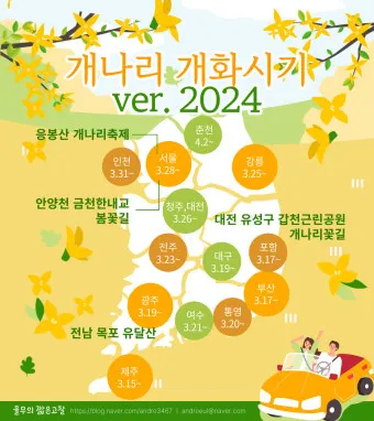 개나리 개화시기 2025 서울 경기 강원 전남 경북 제주_16