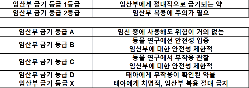 임산부 금기 등급 정리표