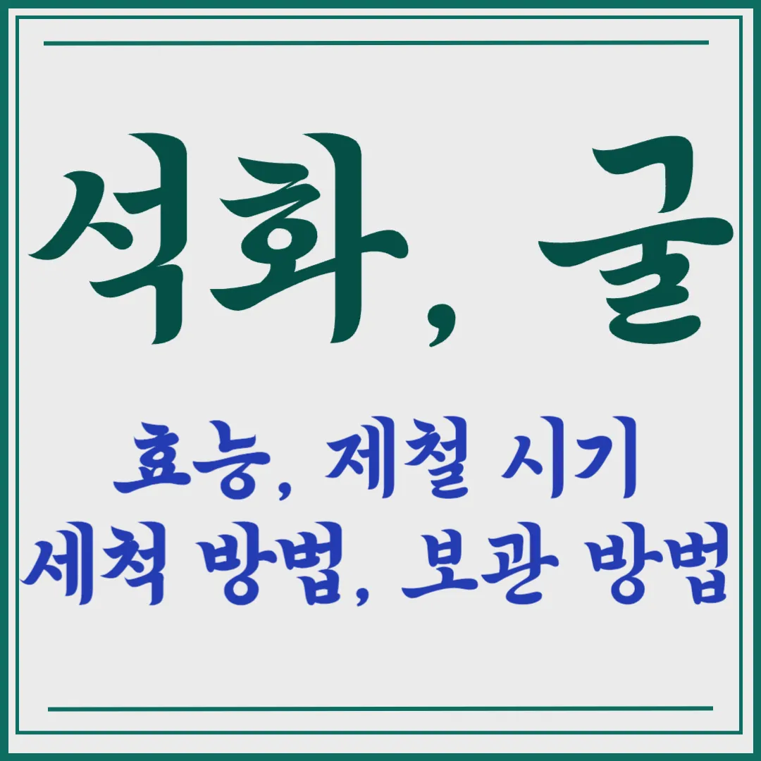 석화 굴 효능&#44; 제철 시기&#44; 세척 방법&#44; 보관 방법 살펴보기