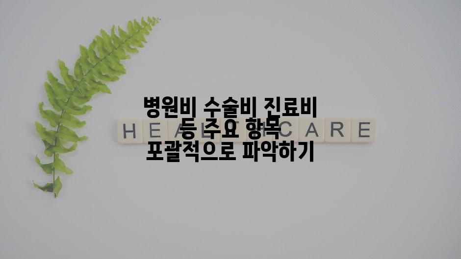 병원비 수술비 진료비 등 주요 항목 포괄적으로 파악하기