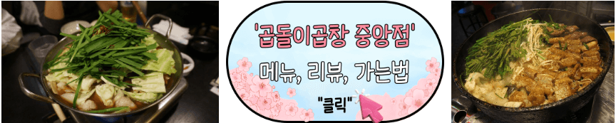 진해 군항제 로컬 맛집 카페 추천
