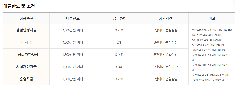 신용불량자 부산광역시 부비론 정부지원 대출