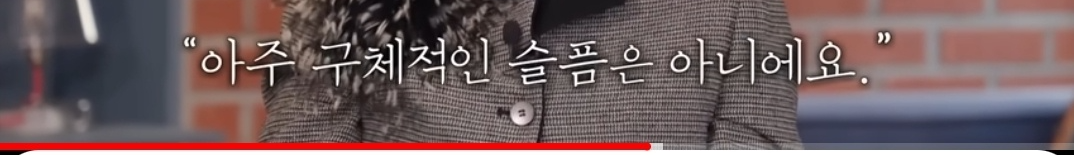 [유퀴즈 온 더 블럭][배우 김혜자] 13