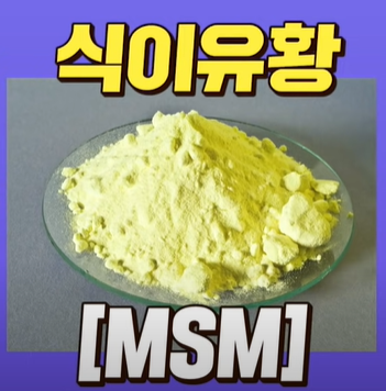 엠에스엠(MSM)