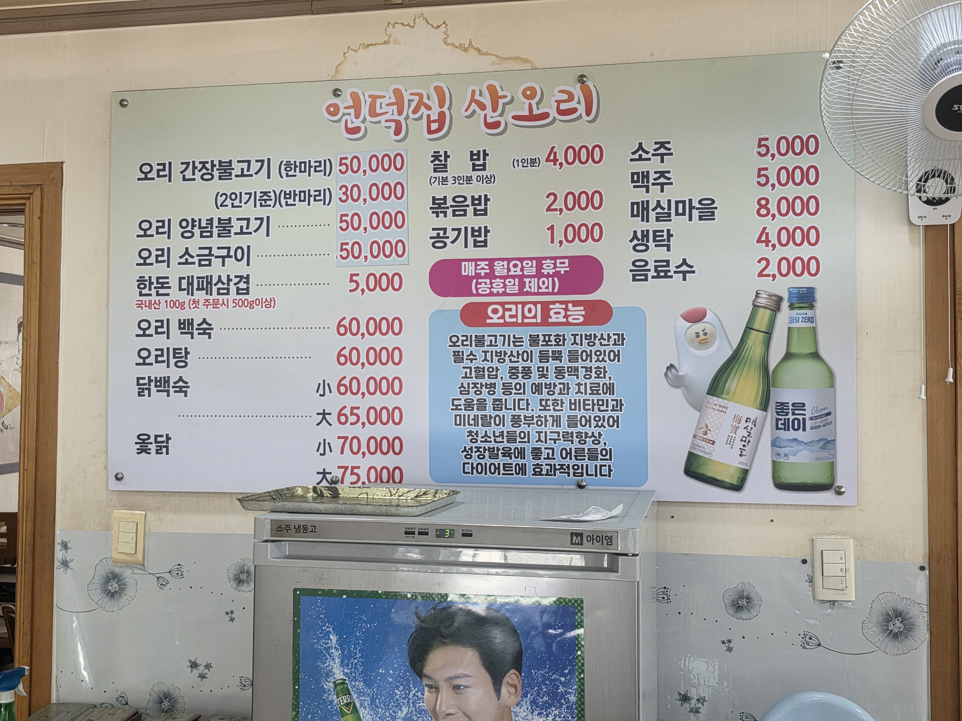 언덕집산오리 사진 6