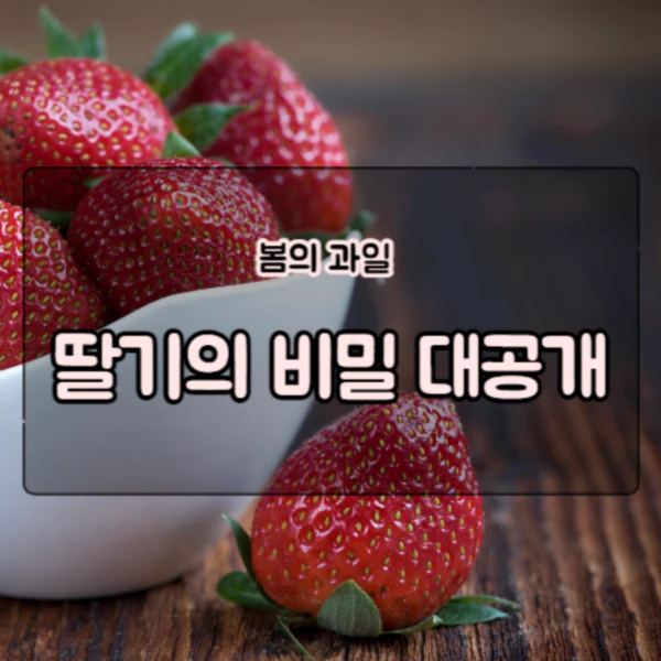  딸기: 봄이 되면 떠오르는 대표적인 과일