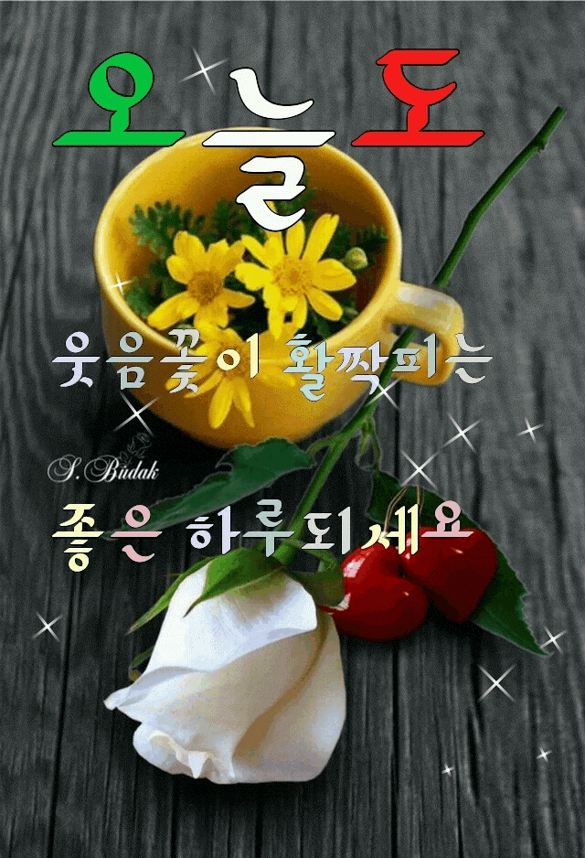 버스기사님ᆢ 너무 너무ᆢ 고맙습니다 나에게도 이런일이ᆢ성남시내 51번 5