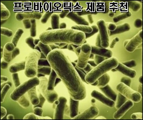  프리바이오틱스 제품 추천 및 유산균 고르는 법