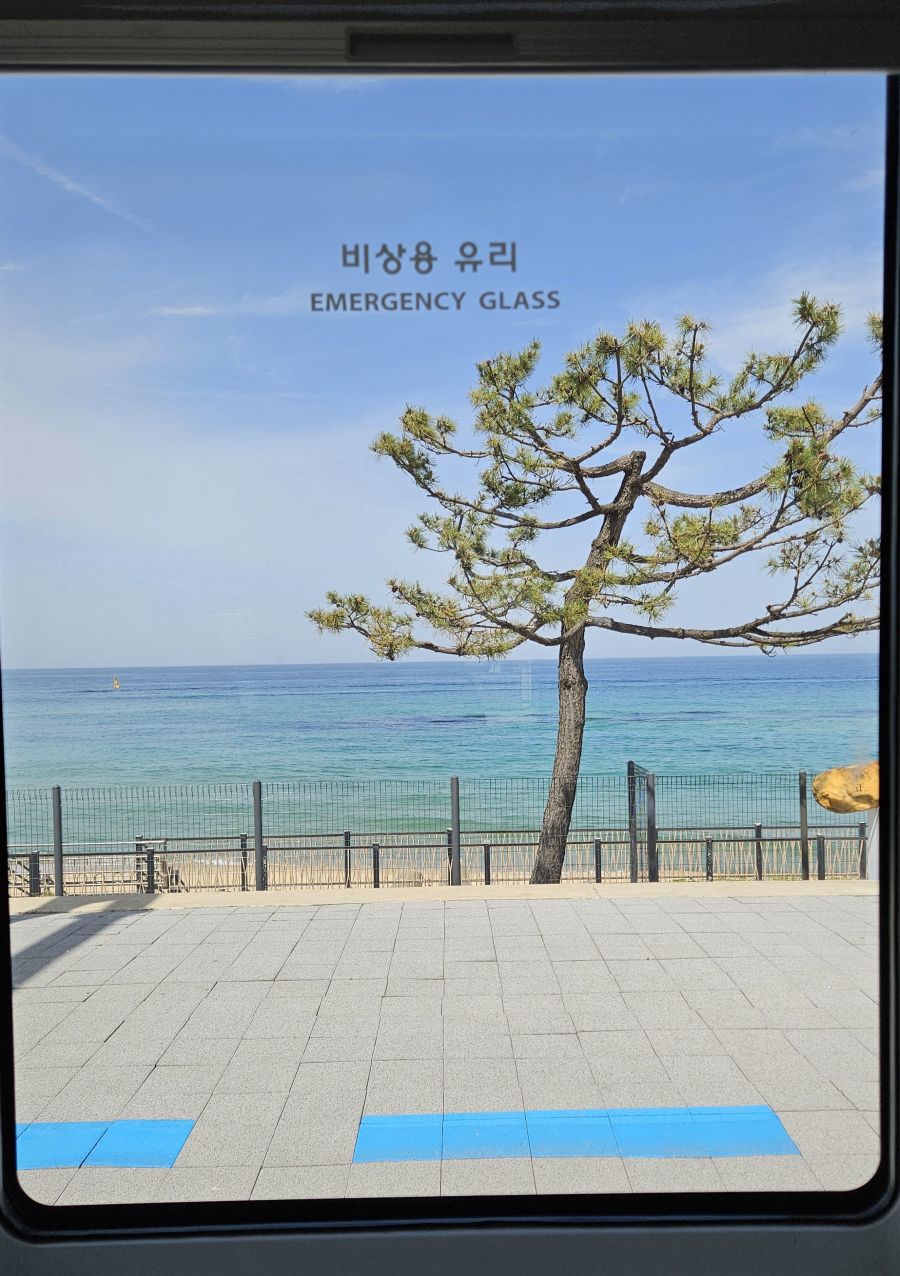  강릉 가볼만한 곳 영동선 누리로 열차(영동선 셔틀열차) 기차여행
