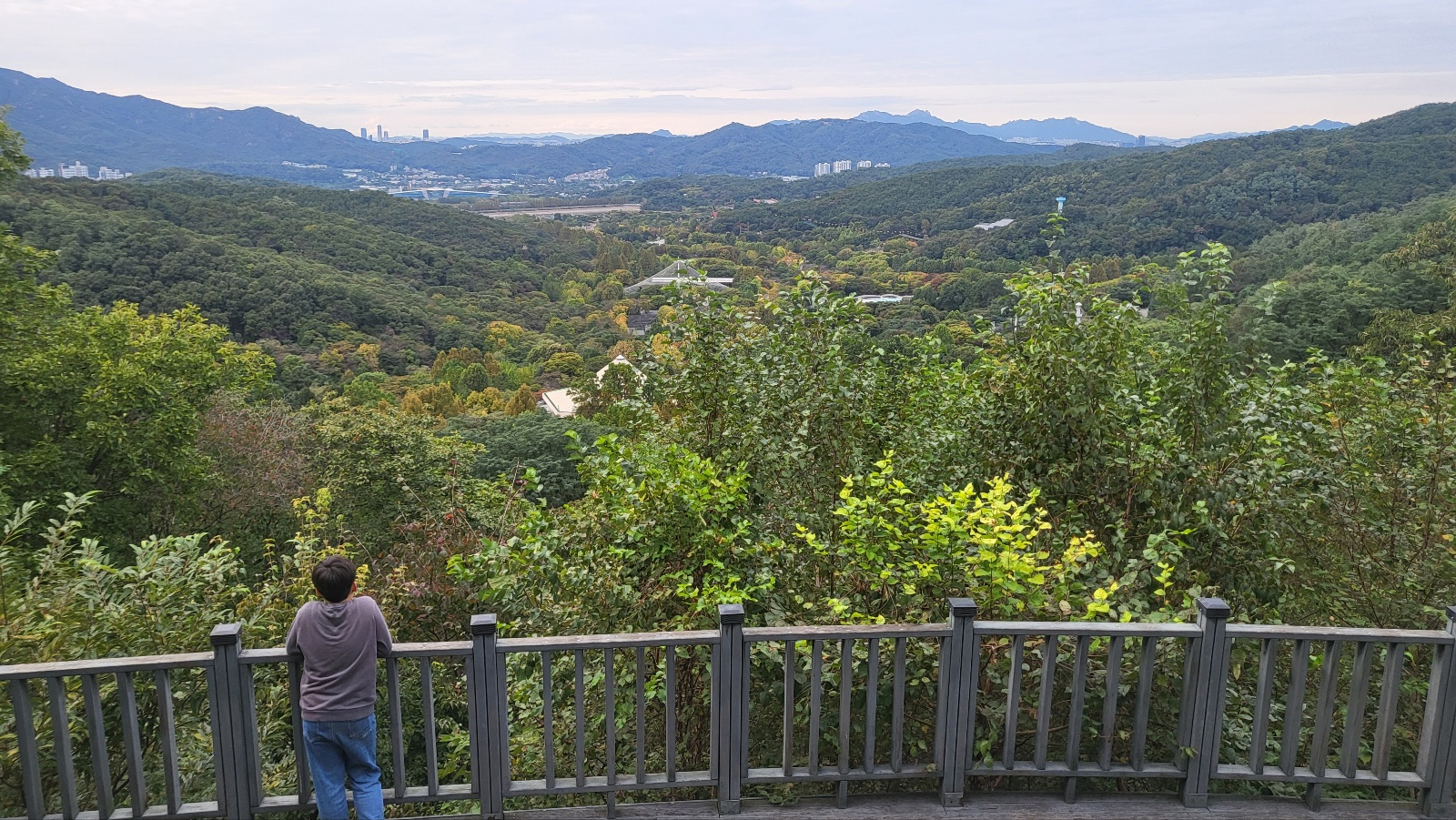 과천 서울대공원 산림욕장길