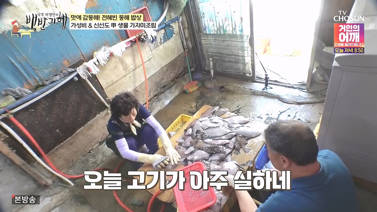 식객 허영만의 백반기행.E258.240805p-NEXT.mp4_20240805_194219.967.jpg