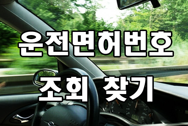  운전면허번호 조회 찾기 방법