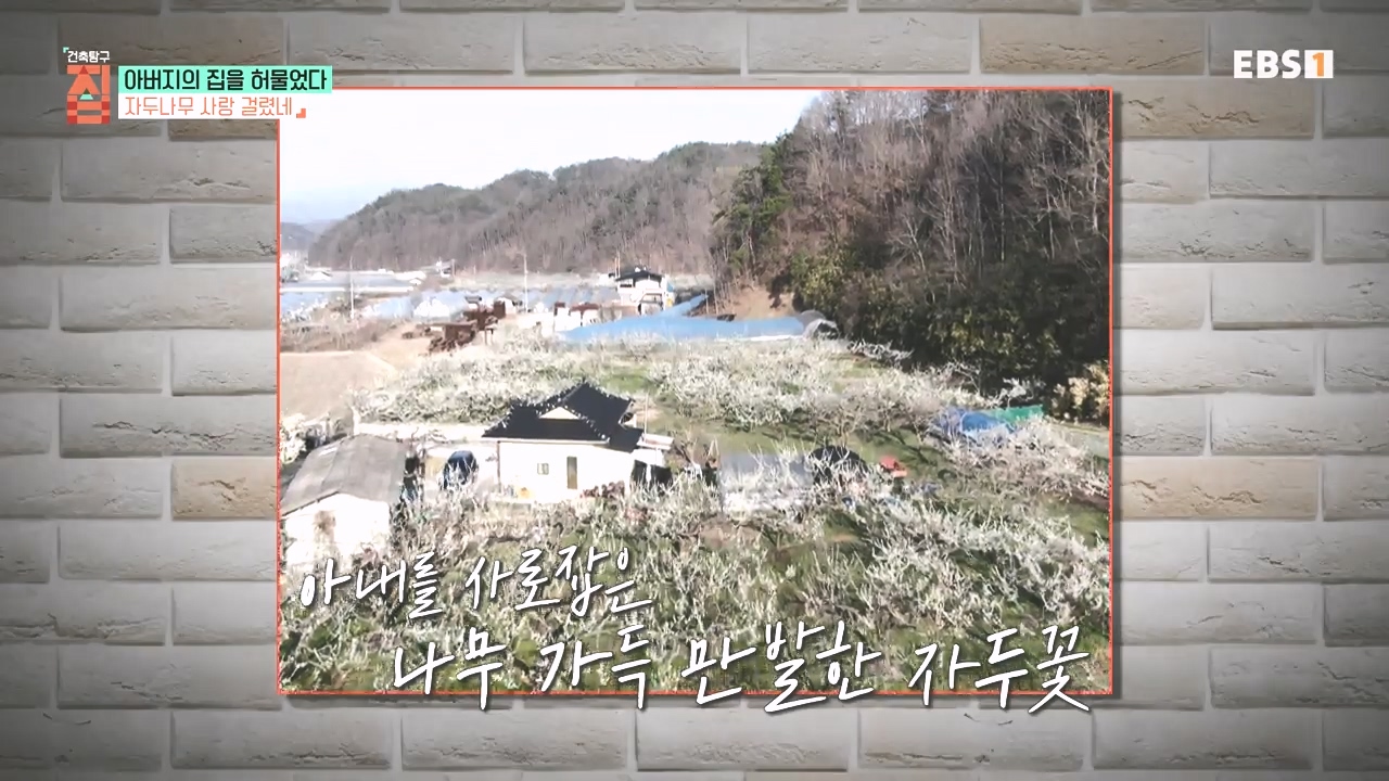 TV - 전 국민의 평생학교 EBS아버지의 집을 허물었다.mp4_20231019_204243.158.jpg