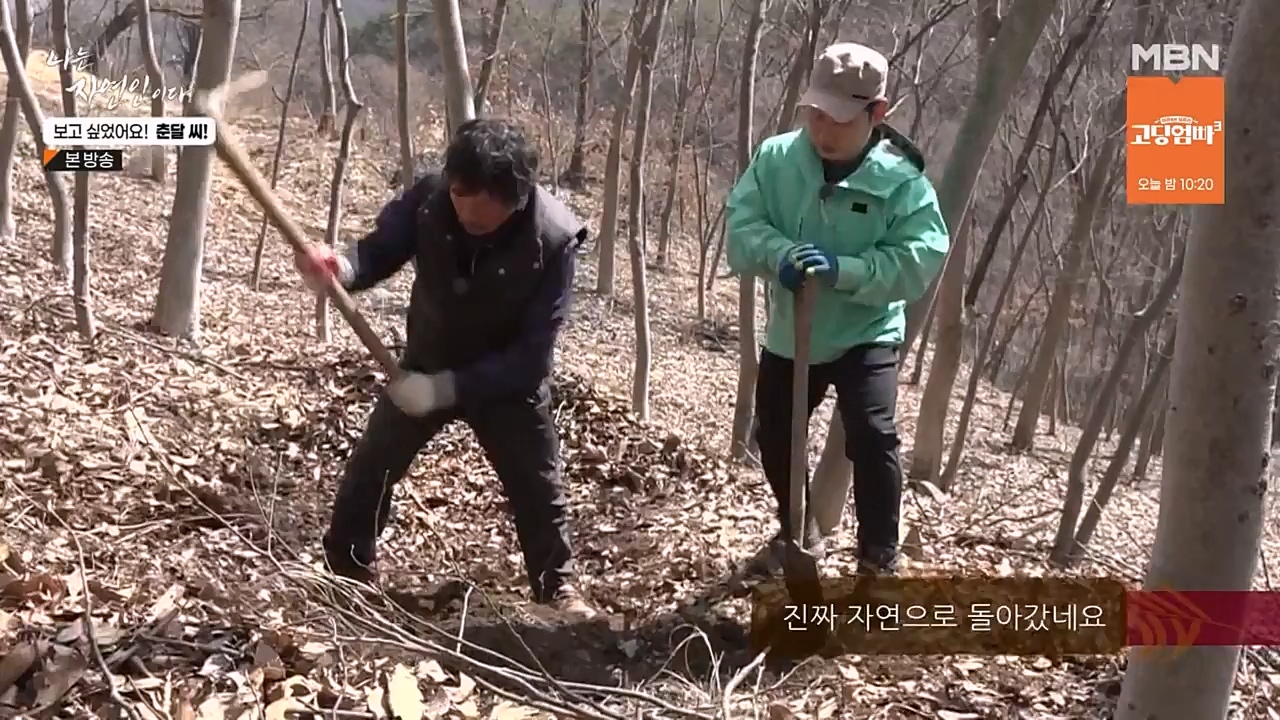 나는 자연인이다.E548.230406p-NEXT.mp4_20230406_195752.449.jpg