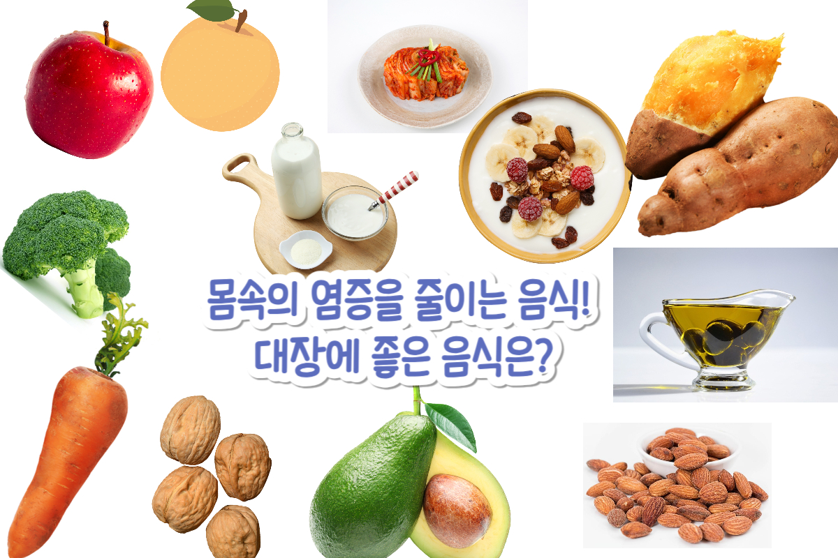 🏋🏼‍♂️몸속의 염증을 줄여야 대장이 건강하다! 대장에 좋은 음식은?