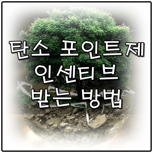  탄소 포인트제 인센티브 받는 방법