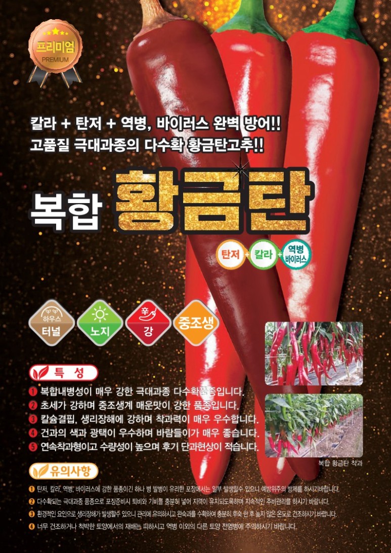 고추는 후회없는 선택 기능. 복합 황금 석탄. 10