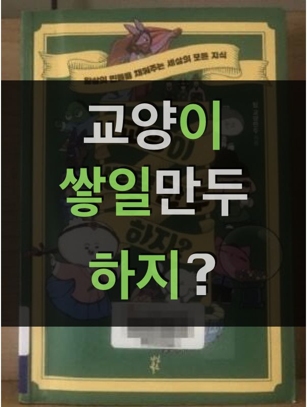  교양이 쌓일만두 하지 - 애니메이션 역사교양 유튜브