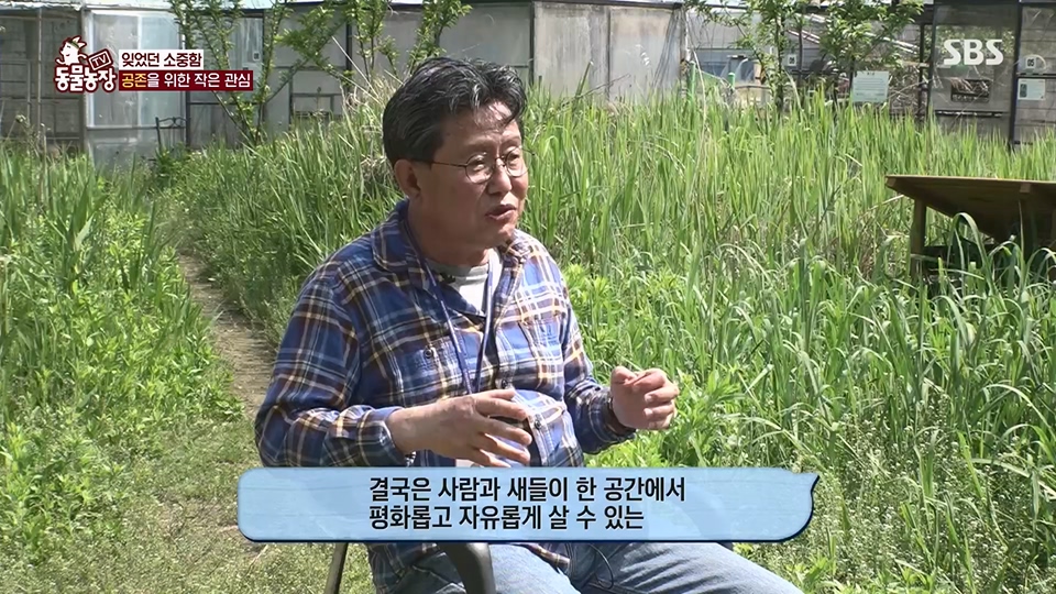 TV 동물농장.E1126.230625p.H264-F1RST.mp4_20230626_204308.555.jpg