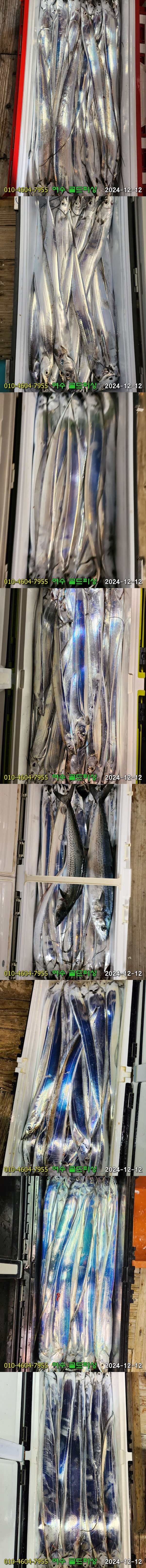 img.jpg