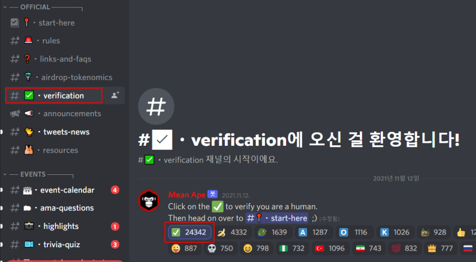 discord-verification