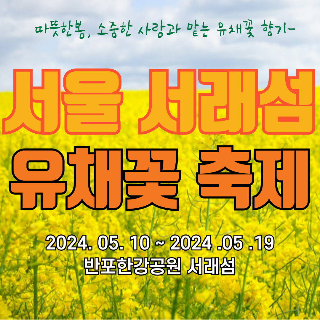 서래섬 유채꽃 축제