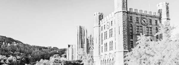 인문계열 (경희대학교)