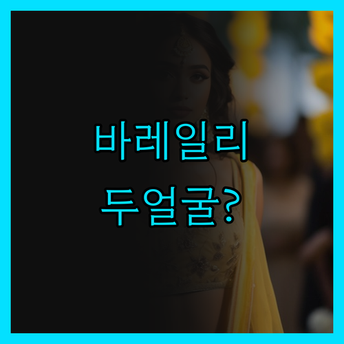 래디슨 호텔 바레일리 에어포트, 공항