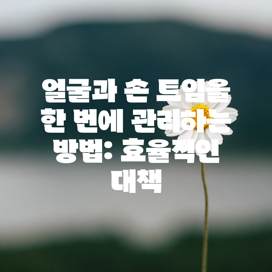 얼굴과 손 트임을 한 번에 관리하는 방법 효율적인 대책