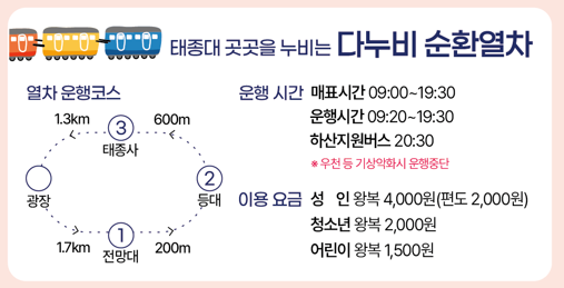 다누비 순환열차