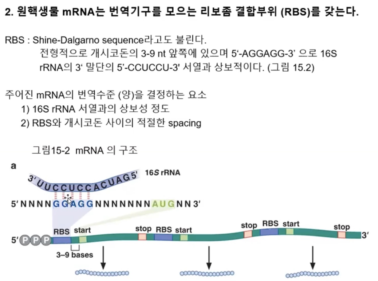 article thumbnail image