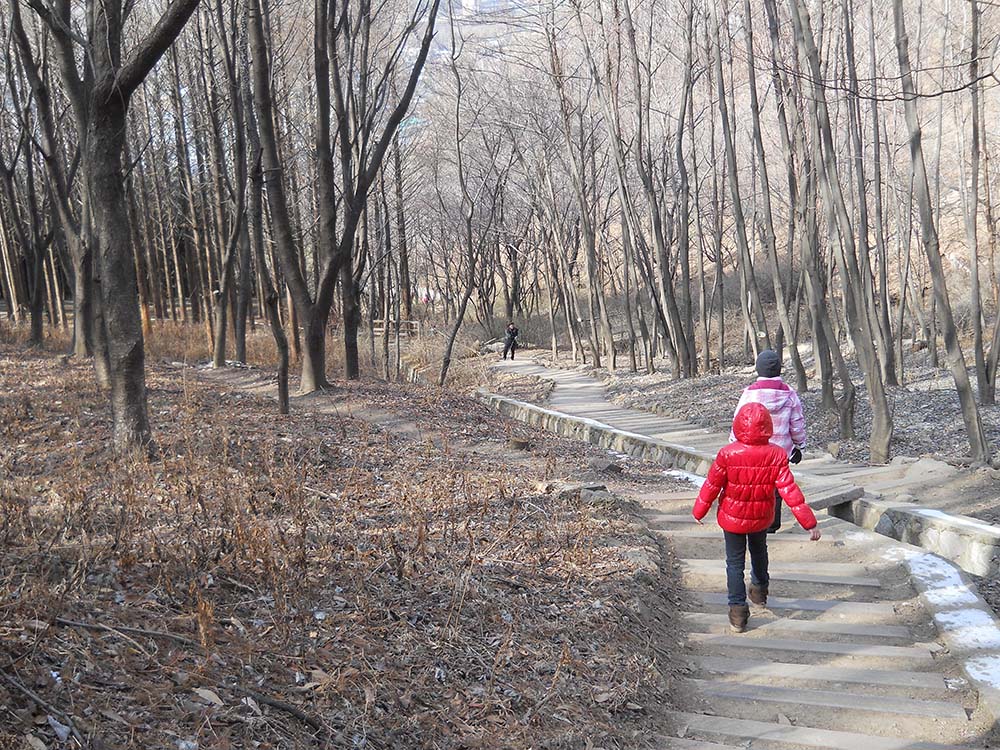 콧바람쐬러 안산으로