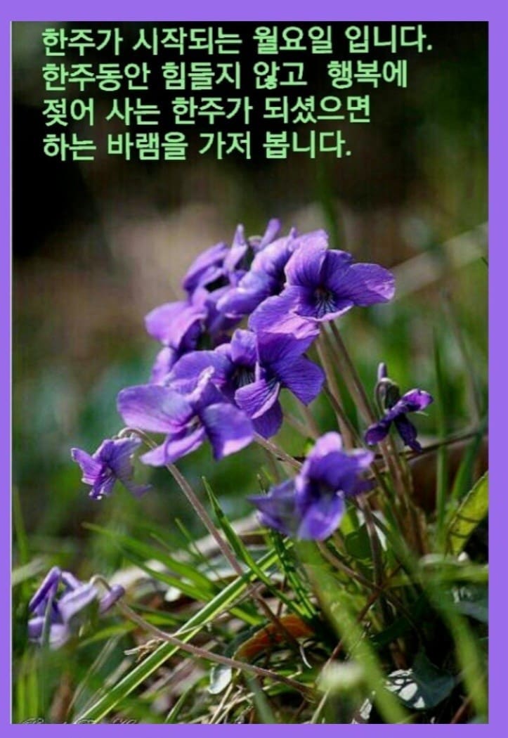 겨울 아침 인사말 카톡 좋은 글귀 문자 이미지 모음