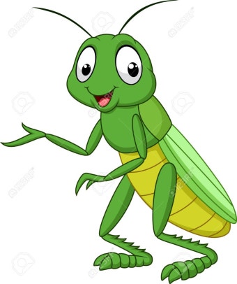 메뚜기