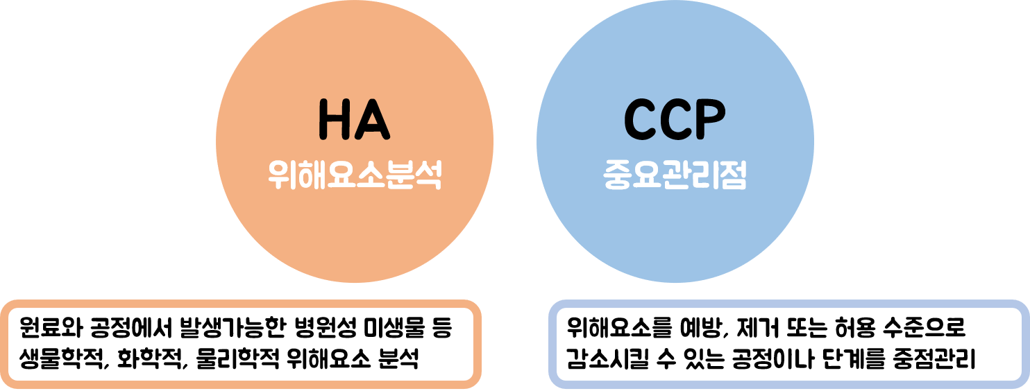  HACCP의 의미와 7원칙 12절차