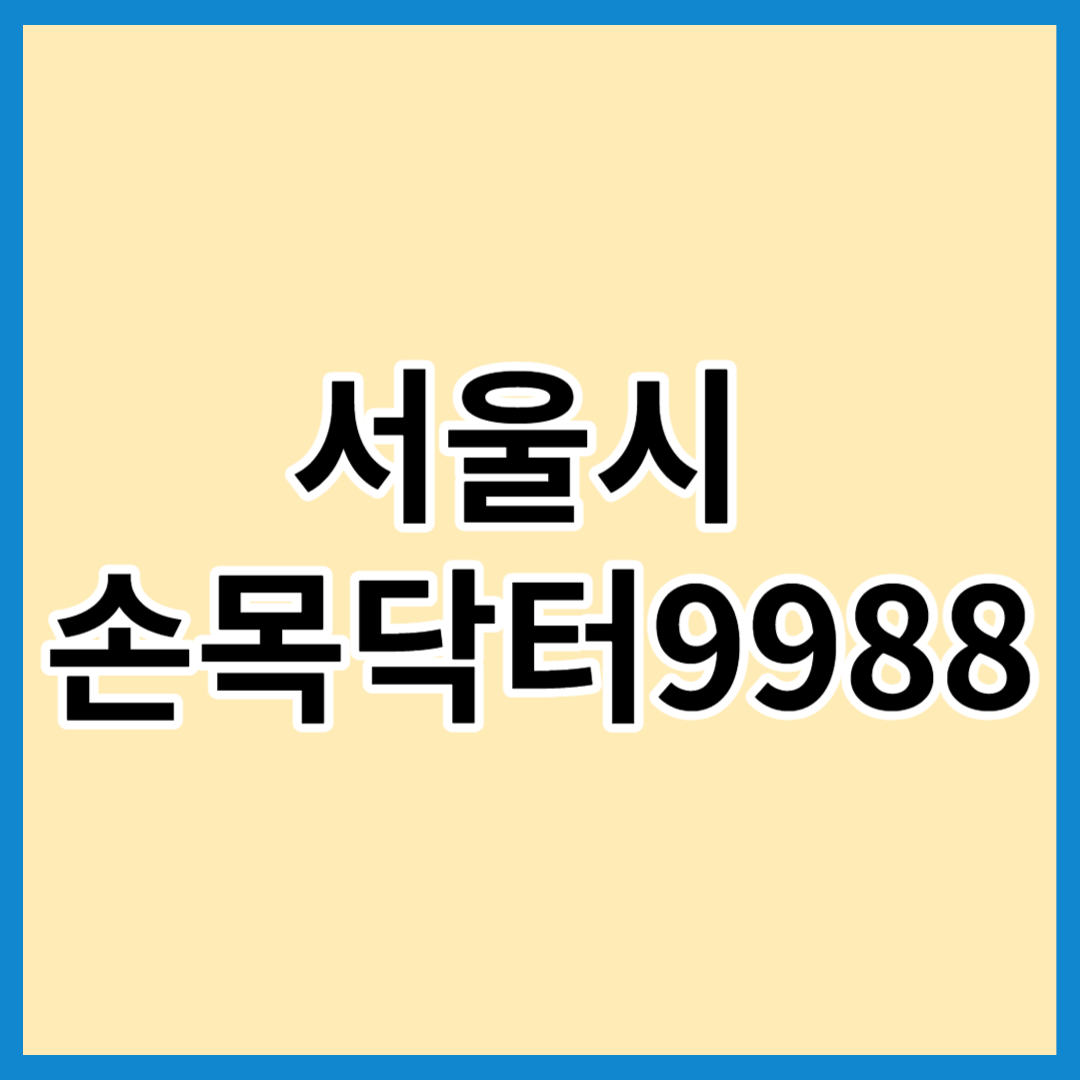  서울시 손목닥터9988 신청 및 사용방법