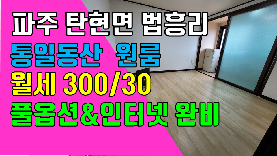  파주 탄현면 법흥리 원룸 월세 300/30만 인터넷완비 풀옵션 주방분리형 햇빛 잘드는 남향집, 통일동산 원룸 임대