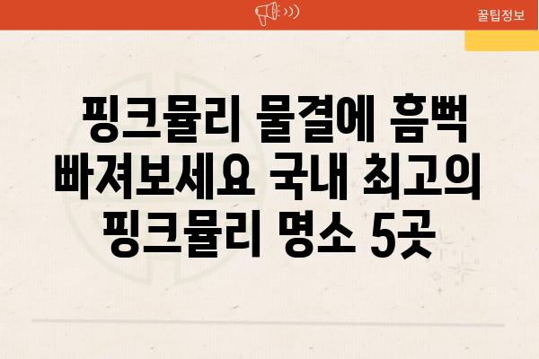  핑크뮬리 물결에 흠뻑 빠져보세요 국내 최고의 핑크뮬리 명소 5곳