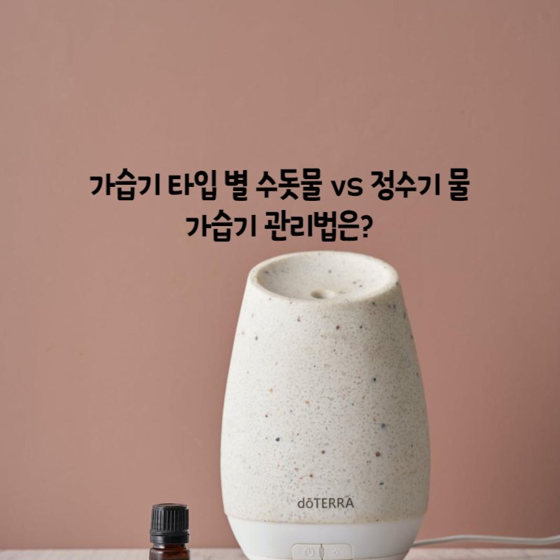  가습기 수돗물 vs 정수기 물, 어떤 물을 넣어야 할까? 그리고 가습기 관리법은?