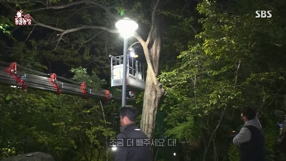 TV 동물농장.E1126.230625p.H264-F1RST.mp4_20230626_204303.748.jpg