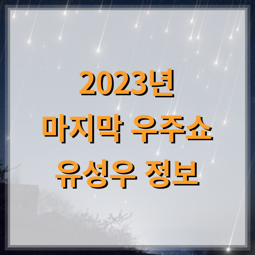 2023-유성우