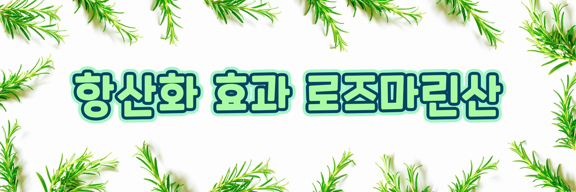  항산화 효과의 로즈마린산, 로즈마린산의 효능은? 로즈마린산은 로즈마리 보다 레몬 밤, 들깻잎에 풍부!