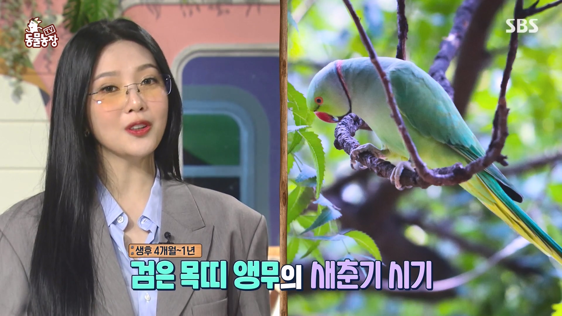 TV 동물농장.E1166.240407p-NEXT.mp4_20240407_164453.466.jpg