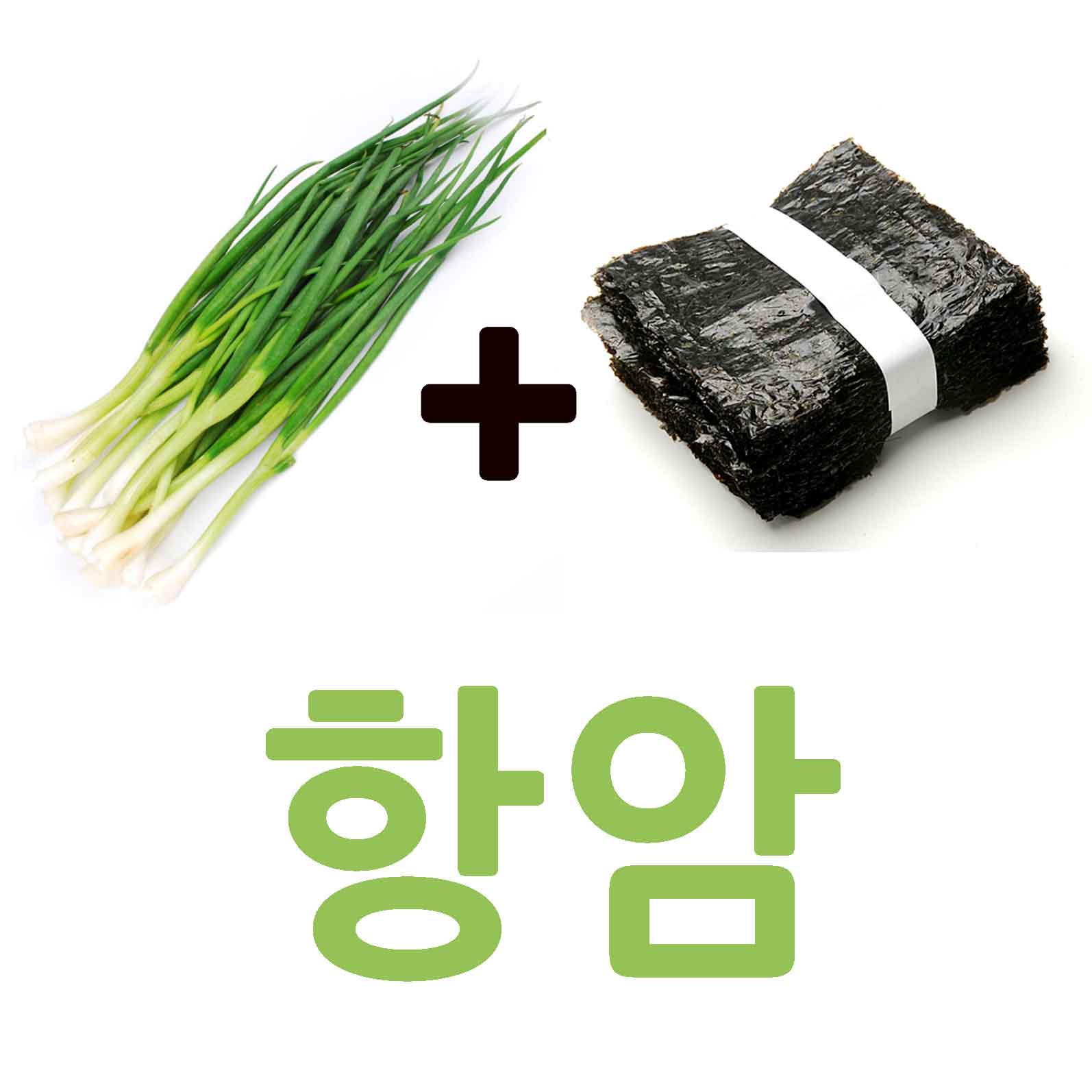 쪽파+김