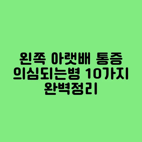 왼쪽 아랫배 통증 의심되는병 10가지 완벽정리