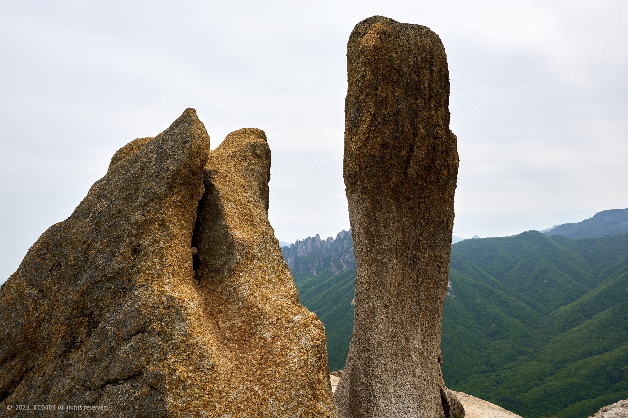 신선대