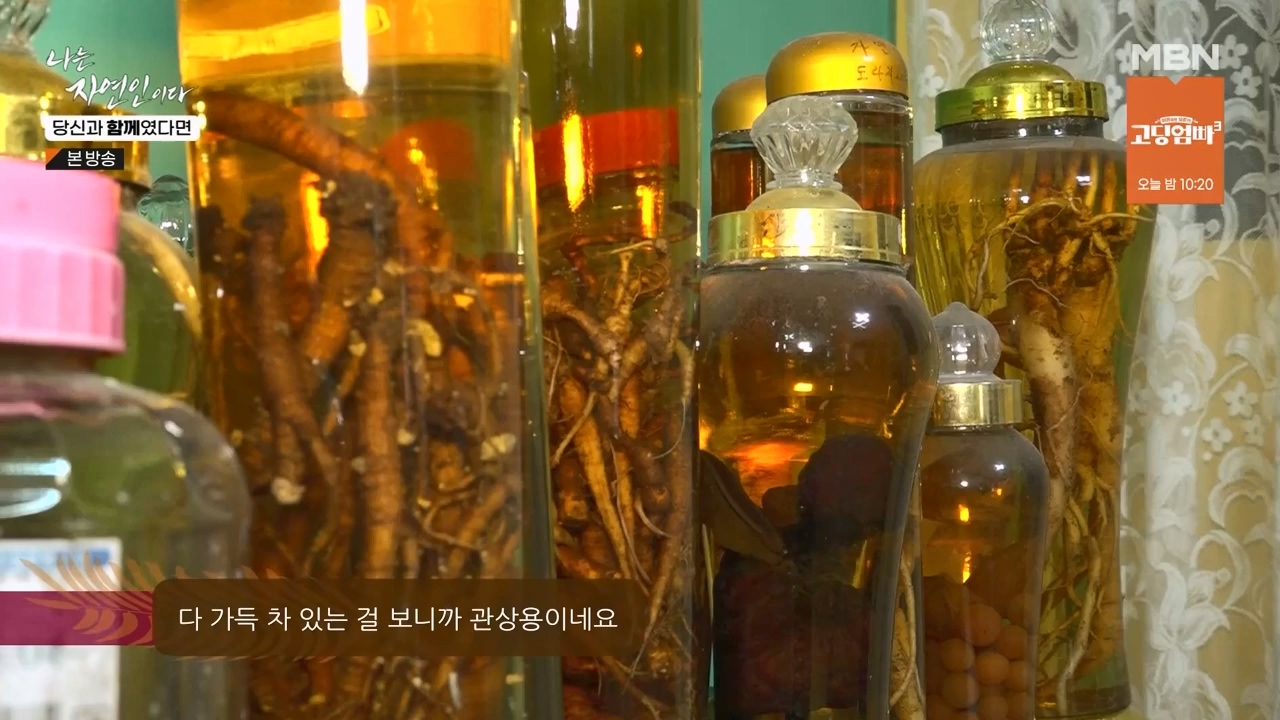 나는 자연인이다.E556.230532p-NEXT.mp4_20230601_201459.792.jpg