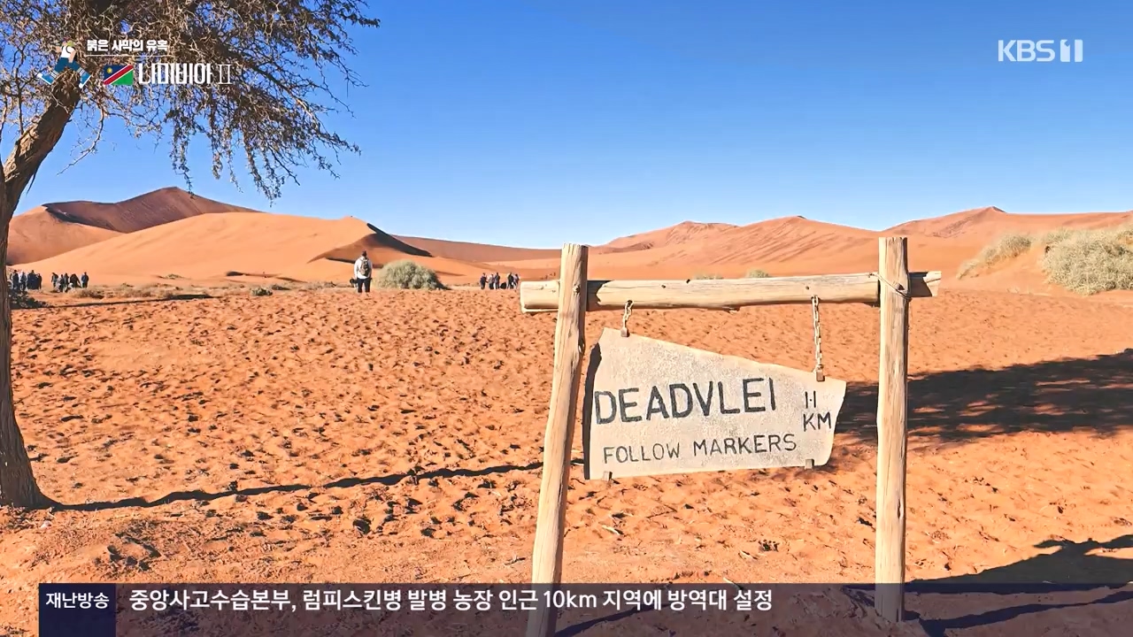 걸어서 세계속으로.E816.231105p-NEXT.mp4_20231104_175436.562.jpg