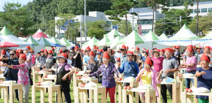 괴산고추축제