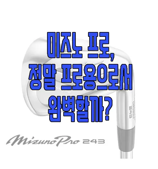 미즈노 프로 243에 관한 글 썸네일